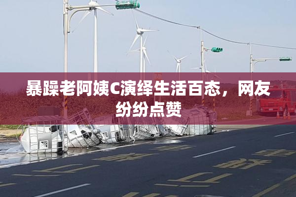 暴躁老阿姨C演绎生活百态，网友纷纷点赞