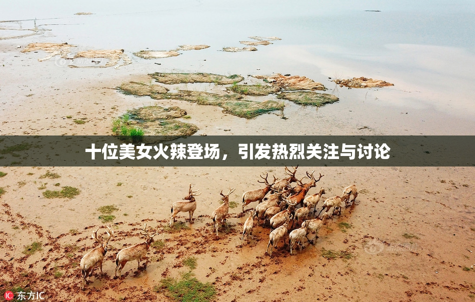 十位美女火辣登场，引发热烈关注与讨论
