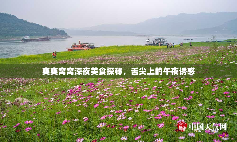 爽爽窝窝深夜美食探秘，舌尖上的午夜诱惑