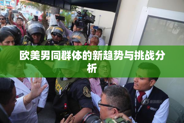 欧美男同群体的新趋势与挑战分析