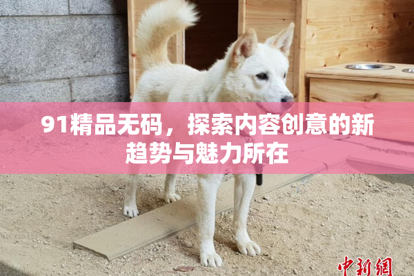 91精品无码，探索内容创意的新趋势与魅力所在