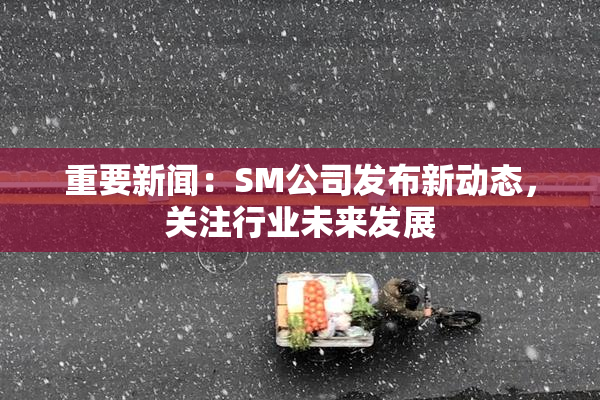 重要新闻：SM公司发布新动态，关注行业未来发展