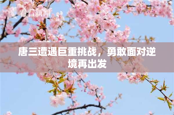 唐三遭遇巨重挑战，勇敢面对逆境再出发