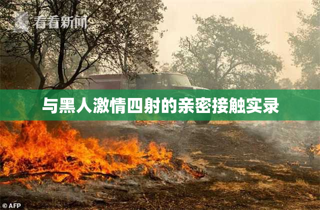 与黑人激情四射的亲密接触实录