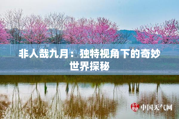 非人哉九月：独特视角下的奇妙世界探秘