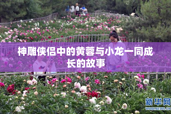 神雕侠侣中的黄蓉与小龙一同成长的故事