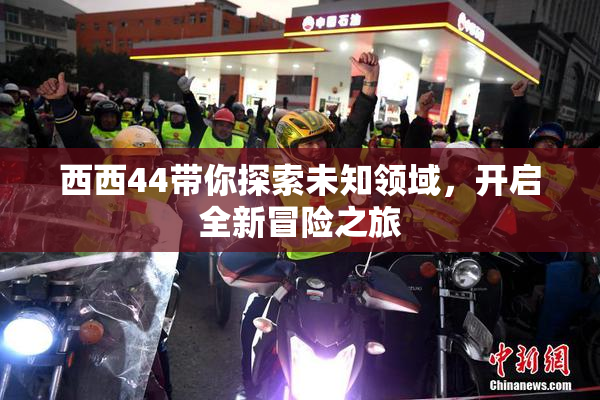 西西44带你探索未知领域，开启全新冒险之旅