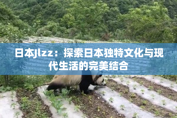 日本Jlzz：探索日本独特文化与现代生活的完美结合