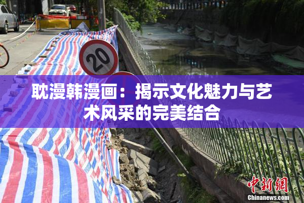 耽漫韩漫画：揭示文化魅力与艺术风采的完美结合