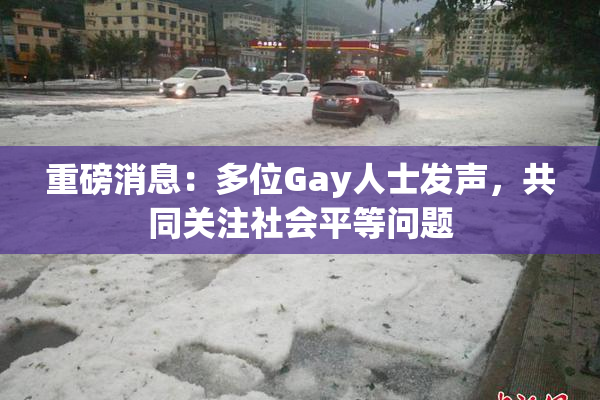 重磅消息：多位Gay人士发声，共同关注社会平等问题