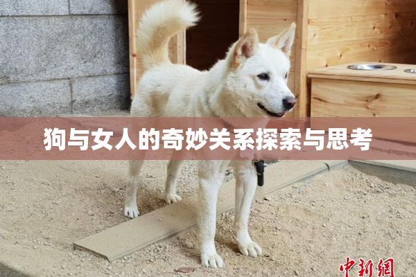 狗与女人的奇妙关系探索与思考