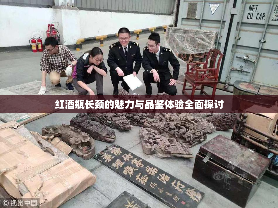 红酒瓶长颈的魅力与品鉴体验全面探讨