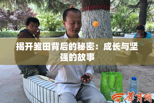 揭开雏田背后的秘密：成长与坚强的故事