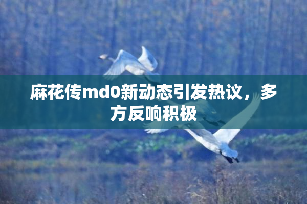 麻花传md0新动态引发热议，多方反响积极