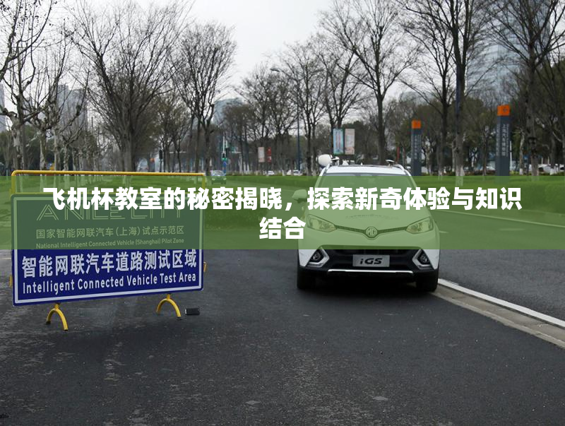 飞机杯教室的秘密揭晓，探索新奇体验与知识结合