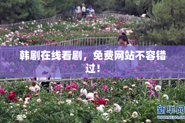 韩剧在线看剧，免费网站不容错过！