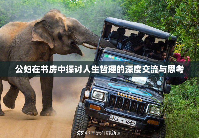 公妇在书房中探讨人生哲理的深度交流与思考