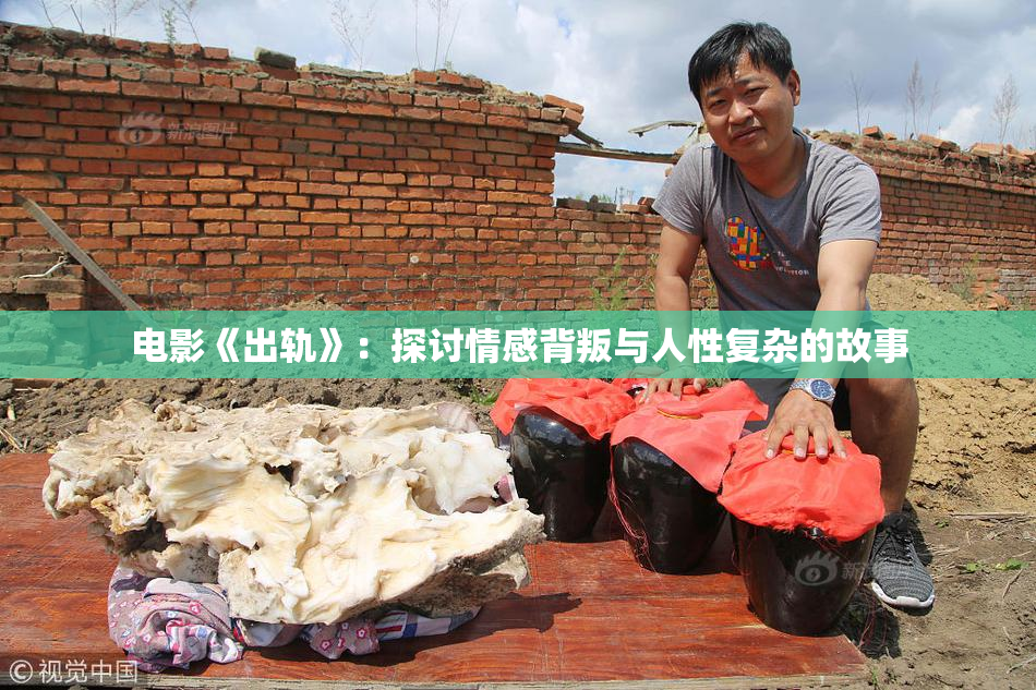 电影《出轨》：探讨情感背叛与人性复杂的故事