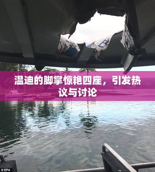 温迪的脚掌惊艳四座，引发热议与讨论