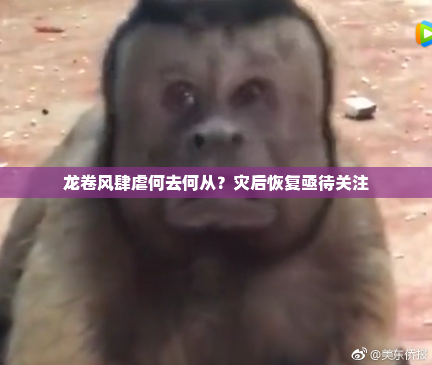 龙卷风肆虐何去何从？灾后恢复亟待关注