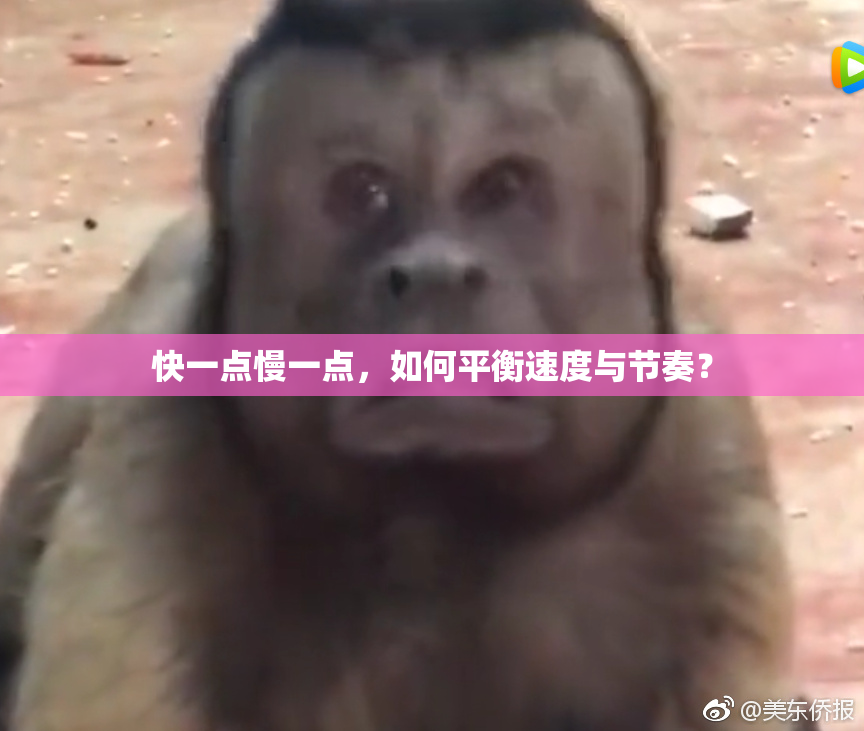 快一点慢一点，如何平衡速度与节奏？
