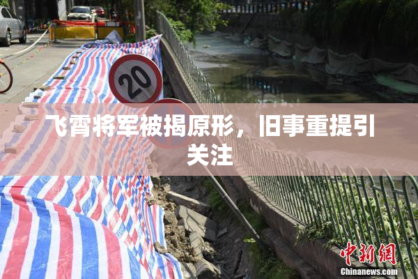 飞霄将军被揭原形，旧事重提引关注