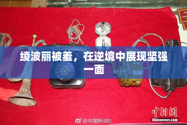 绫波丽被羞，在逆境中展现坚强一面