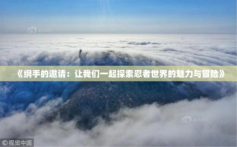 《纲手的邀请：让我们一起探索忍者世界的魅力与冒险》