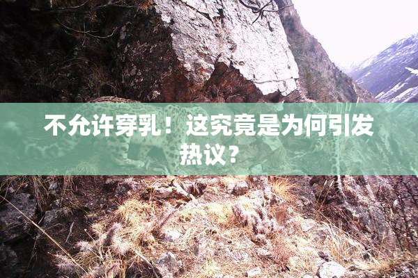 不允许穿乳！这究竟是为何引发热议？