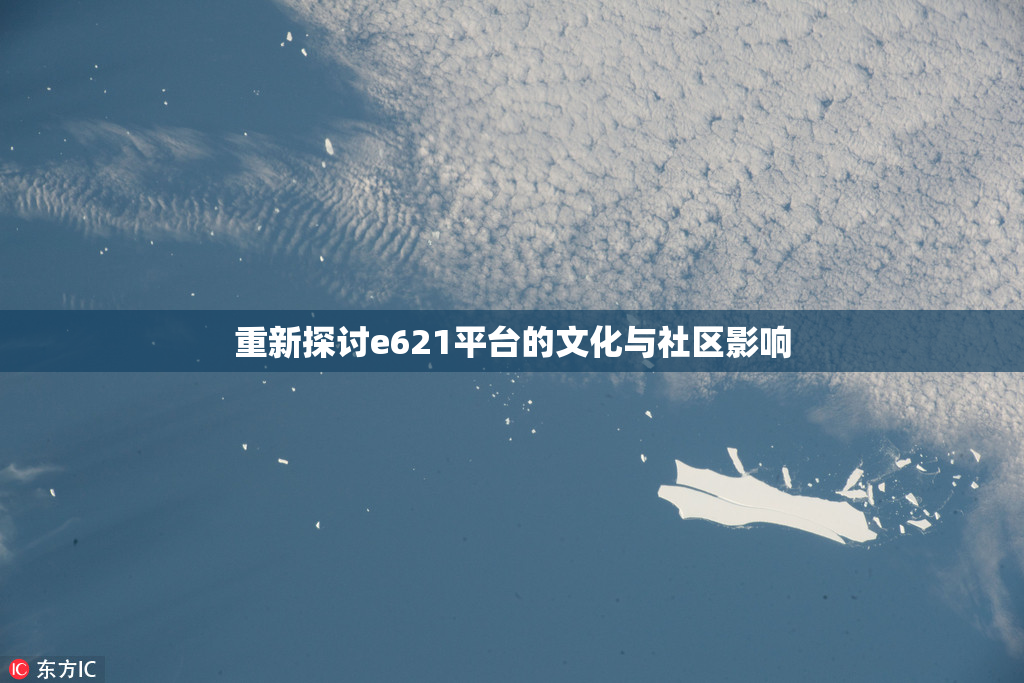 重新探讨e621平台的文化与社区影响