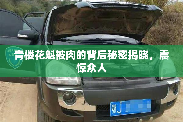 青楼花魁被肉的背后秘密揭晓，震惊众人