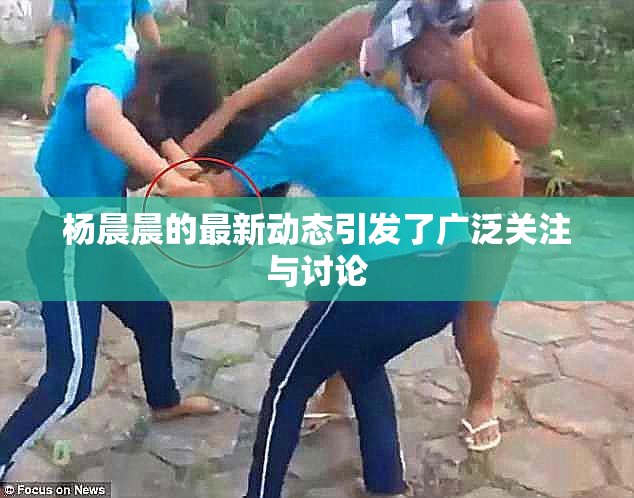 杨晨晨的最新动态引发了广泛关注与讨论