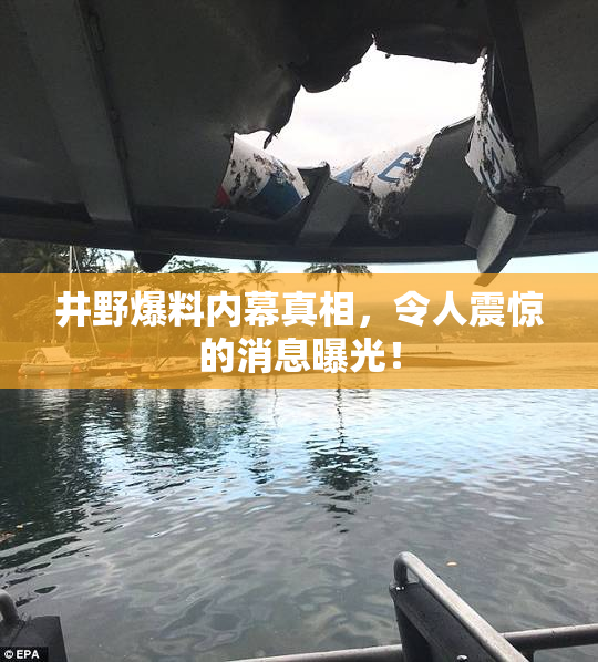 井野爆料内幕真相，令人震惊的消息曝光！