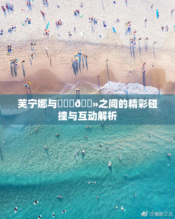 芙宁娜与❌‌‌🐻之间的精彩碰撞与互动解析