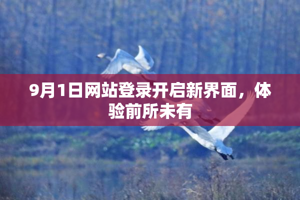 9月1日网站登录开启新界面，体验前所未有
