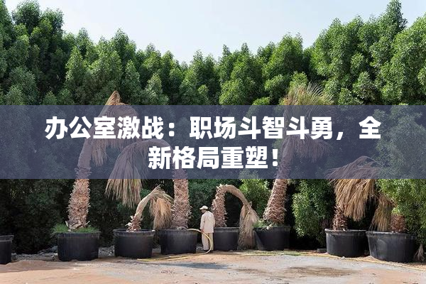 办公室激战：职场斗智斗勇，全新格局重塑！