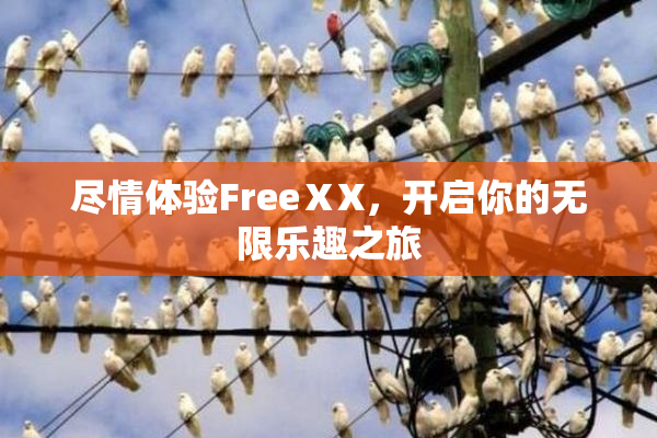 尽情体验FreeⅩX，开启你的无限乐趣之旅