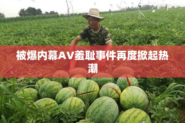 被爆内幕AV羞耻事件再度掀起热潮