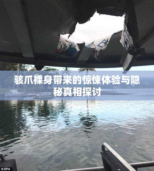骇爪裸身带来的惊悚体验与隐秘真相探讨