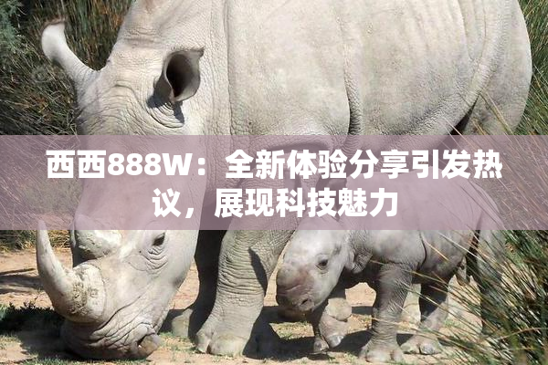 西西888W：全新体验分享引发热议，展现科技魅力