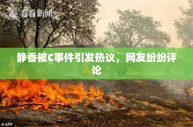 静香被C事件引发热议，网友纷纷评论