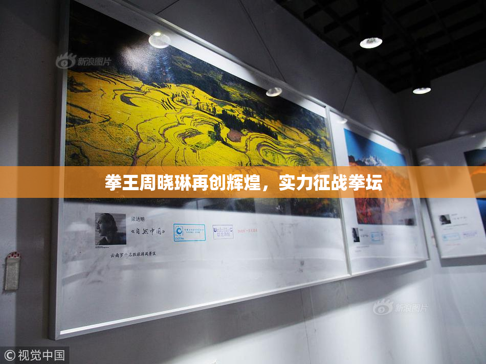 拳王周晓琳再创辉煌，实力征战拳坛