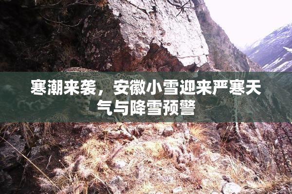 寒潮来袭，安徽小雪迎来严寒天气与降雪预警