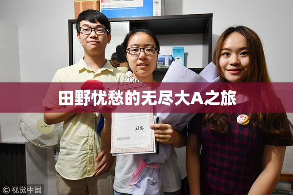 田野忧愁的无尽大A之旅