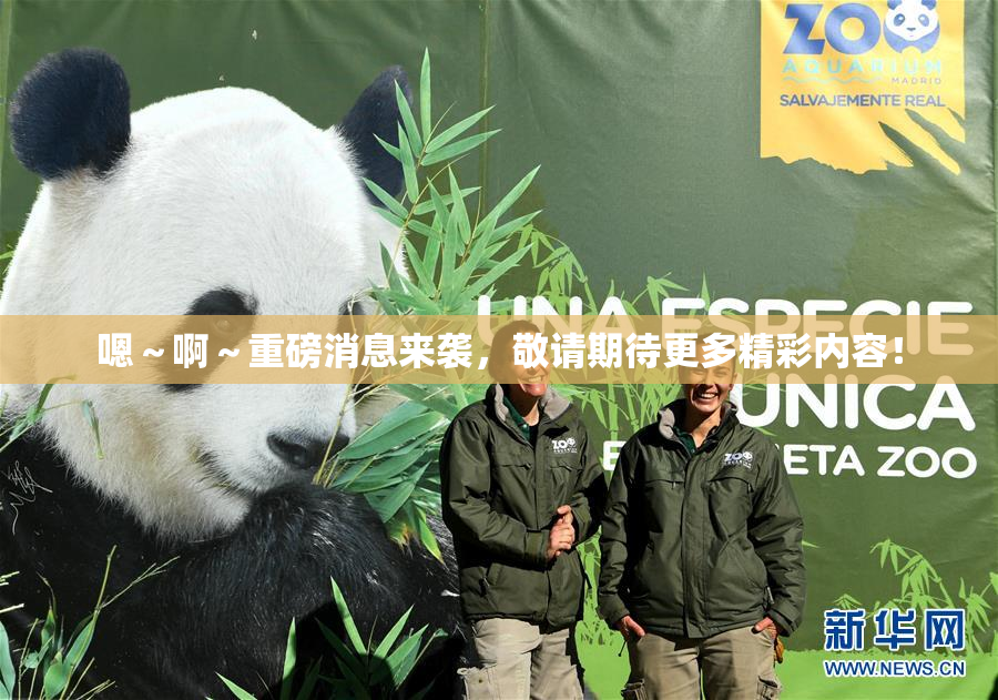 嗯～啊～重磅消息来袭，敬请期待更多精彩内容！