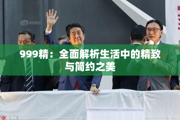 999精：全面解析生活中的精致与简约之美