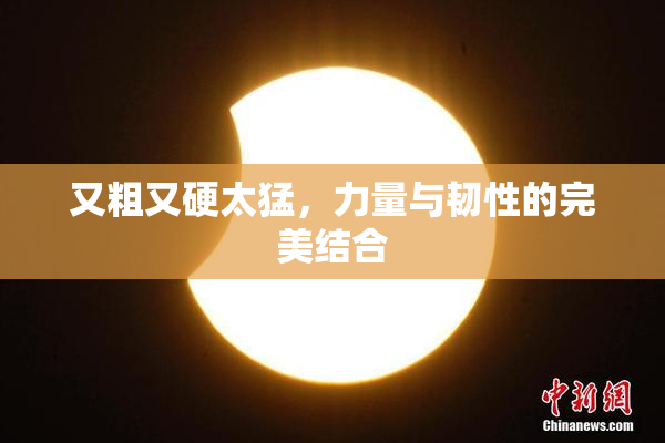 又粗又硬太猛，力量与韧性的完美结合