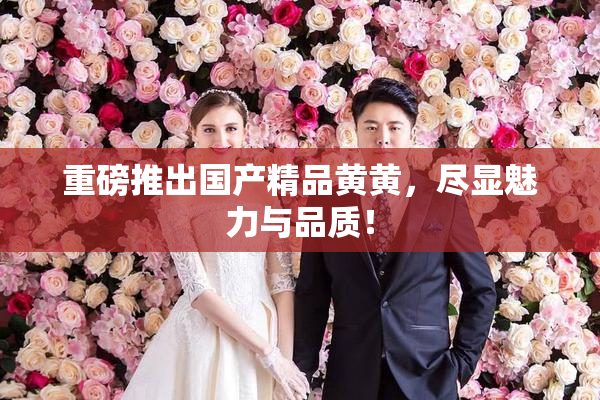 重磅推出国产精品黄黄，尽显魅力与品质！