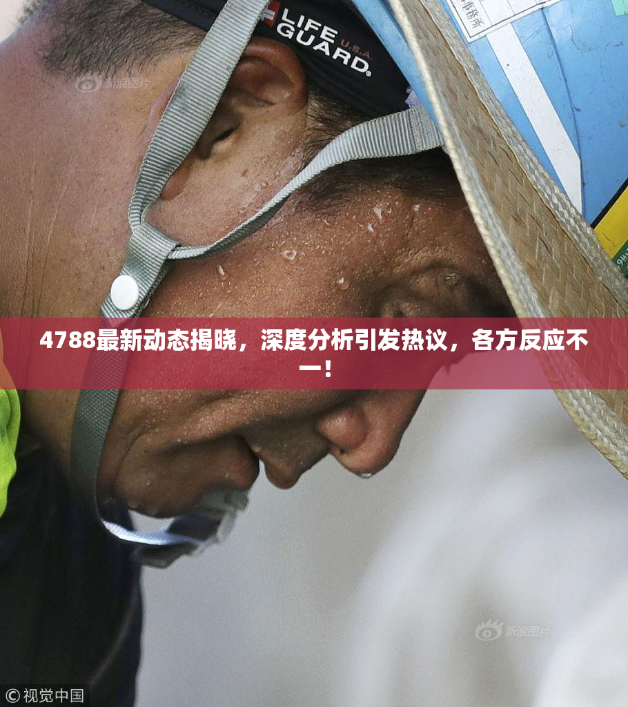 4788最新动态揭晓，深度分析引发热议，各方反应不一！