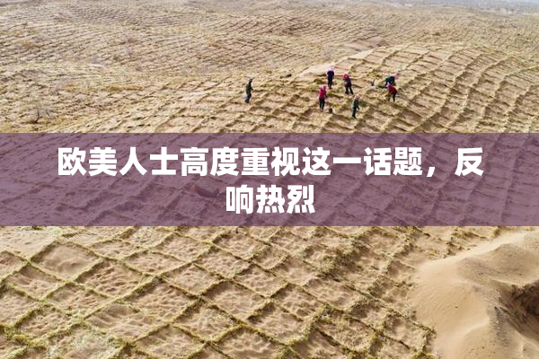 欧美人士高度重视这一话题，反响热烈